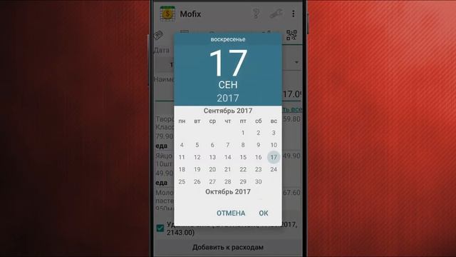 Учет кассовых чеков в приложении Учет расходов в Excel смотреть онлайн