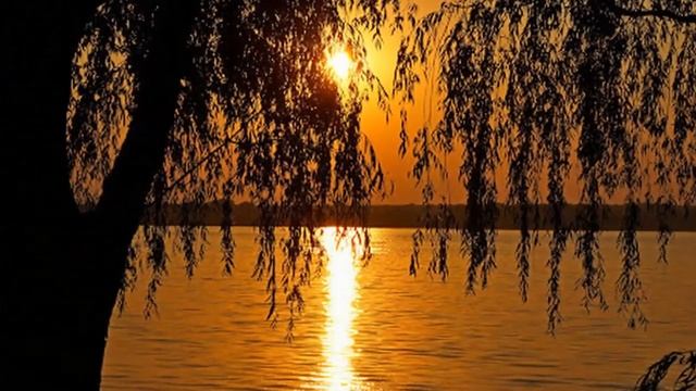 Деревенские ночи Слова Н. Рубцова. Музыка К. Акимова. Поёт Татьяна Петрова. смотреть онлайн
