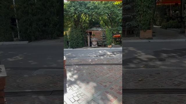 Моя неделя в Ташкенте #Ташкент #Евгениялигай #ligaijenny