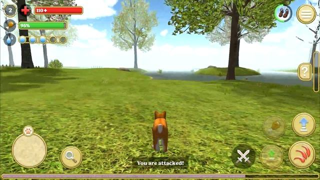 Cat Simulator 2020 Gameplay - Walkthrough (iOS, Android) смотреть онлайн