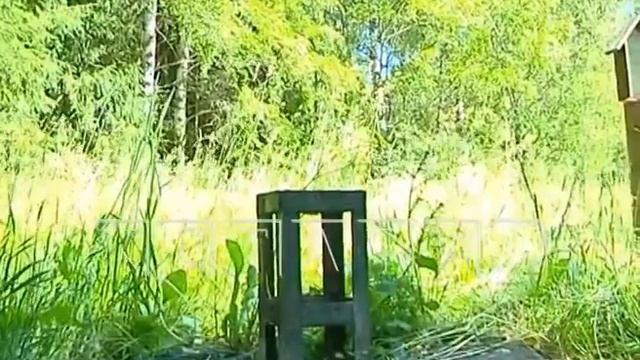 На озере Светлояр в день летнего солнцестояния и солнечного затмения украли поклонные кресты смотреть онлайн