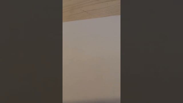 обзор стаффа и рисования буквы смотреть онлайн