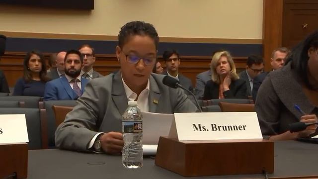 Testimony of Angelique Brunner to the US House Committee on the Judiciary смотреть онлайн