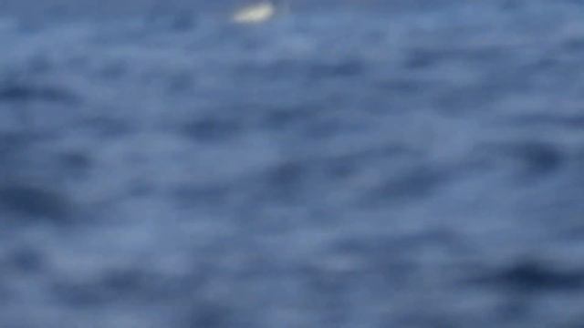 Tenerife TP acuaplanando смотреть онлайн