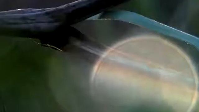 Катахреза. Между льдом и водой смотреть онлайн