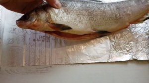 Муксун в духовке