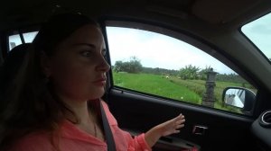 ЖИЗНЬ на БАЛИ! РАЗДЕЛИ в СПА в ДЖУНГЛЯХ! ЦЕНЫ на БАЛИ УДИВЯТ ЛЮБОГО! БАЛИ УБУД 2023