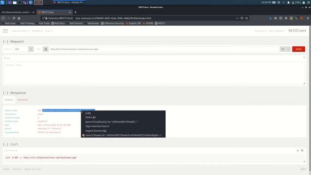 Infosec Institute n00bs CTF Labs Level Seven смотреть онлайн