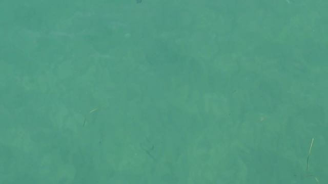 Рыбалка в Анапе 2022 пирс Центральный пляж морская рыбалка на Кефаль