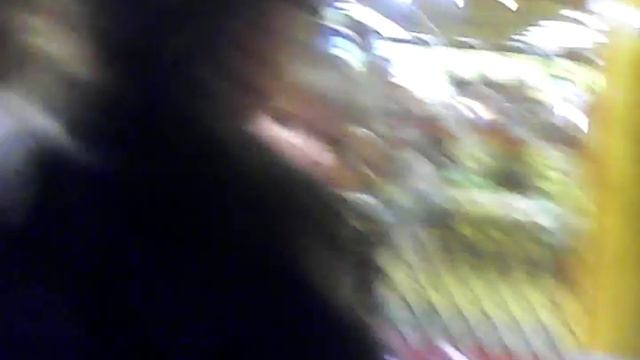 ВЛОГ. Кафе «Чудо-улей » играем в городке смотреть онлайн