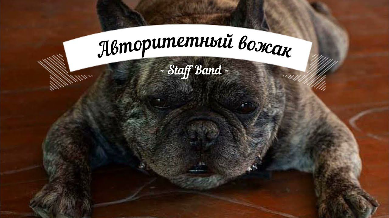 #друзьямировесникам Денис и его стаффи друзья forever смотреть онлайн