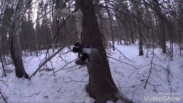 Проверка, новое место опять работает. смотреть онлайн