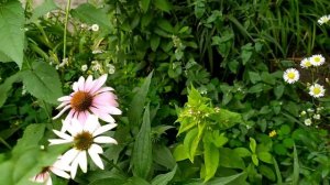 Из чувства долга  1 - 4 серии | Мелодрама 2021