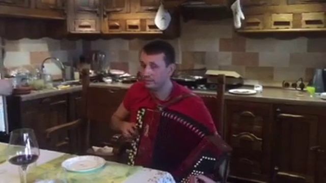 Народный депутат Валерий Дубиль: "Выбери меня", баян смотреть онлайн