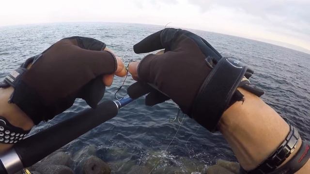 「ショアジギング」セットアッパー対湾岸ミノー смотреть онлайн
