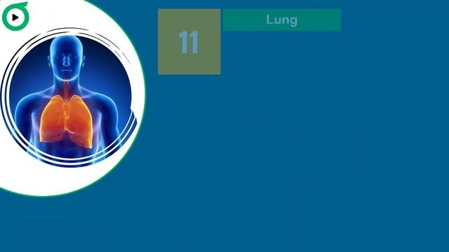 المستوى 2 | الحلقة 1 | كورس انجليزى 2021