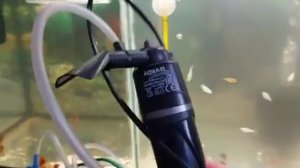 Самый бесшумный Компрессор для Аквариума. Цена 1т.400р