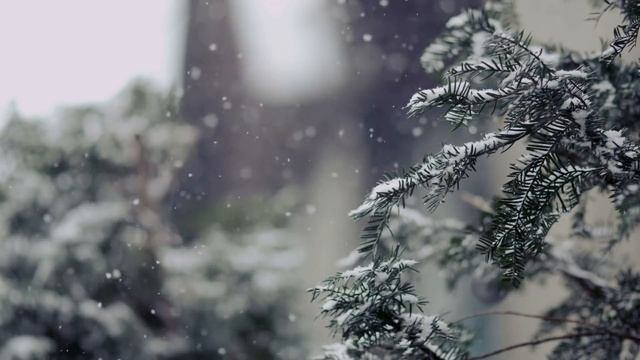 Залипаешь на женщин? Избавься от зацикленности на женщине смотреть онлайн