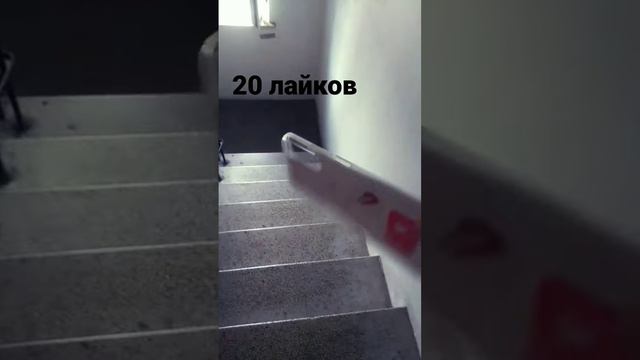 кидаю вещи за лайки (собака не моя и ни за какие лайки я её не кину)