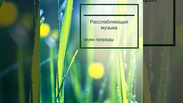 Инструментальная музыка смотреть онлайн