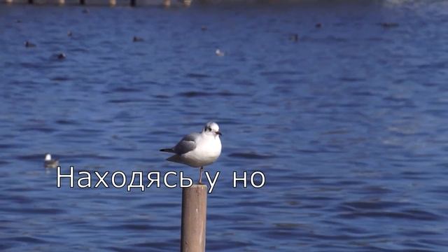 Счастлив я у ног Иисуса - пение братьев. Альбом "Счастливы с Иисусом" смотреть онлайн