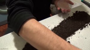 Сажаем томаты в "улитку"