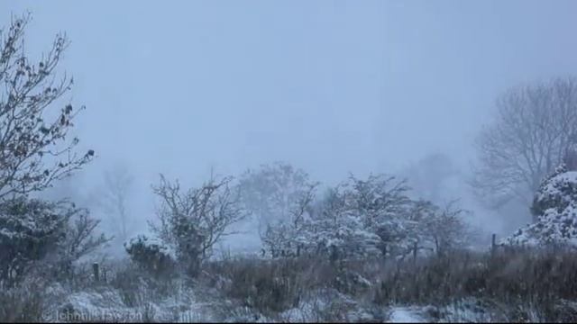 Людмила Зыкина Вьюга.mp4 смотреть онлайн