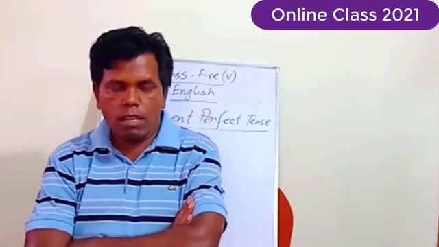 Class V English Present perfect tense 2021 смотреть онлайн