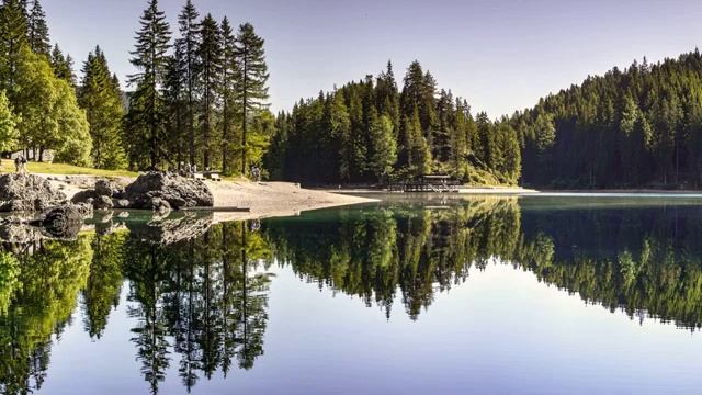 Фоновые звуки природы и леса. Рекомендуется для глубокого сна и расслабления. Чирикающие звуки смотреть онлайн