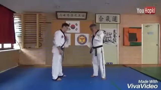 Master Jinoh Hwang. 7th Dan Korea Hapkido Federation смотреть онлайн