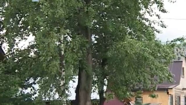 Как убрать дерево смотреть онлайн