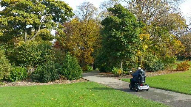 Pete's Scooter смотреть онлайн