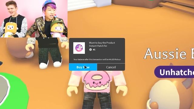Can We Open EVERY EGG Ever In Adopt Me!? (CRAZY RARE PETS!) смотреть онлайн