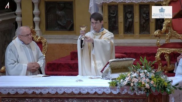 Santa Messa in diretta dalla Basilica del Santo a Padova смотреть онлайн
