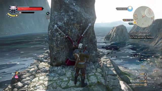 The Witcher 3 Wild Hunt - Birna Bran chained to Rock смотреть онлайн