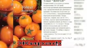 СУПЕР! Томаты длительного хранения