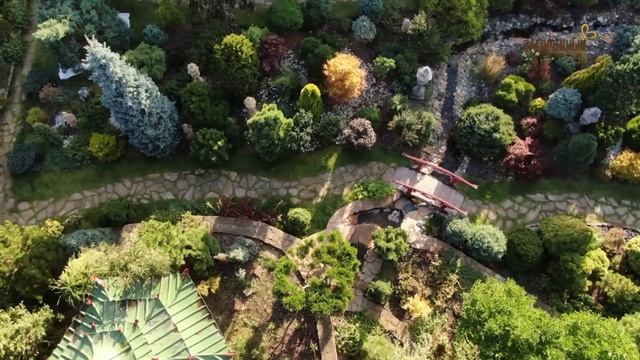 Частный сад Татьяны Воловик в китайском стиле