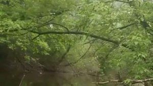 Каяк из пенопласта с мотором