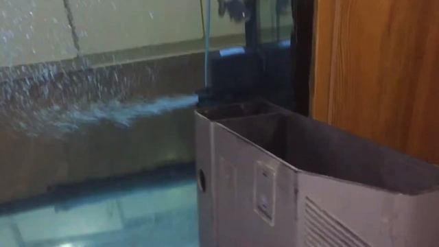 Внутренний фильтр для нового аквариума на 250 литров. New Filter for New aquarium смотреть онлайн