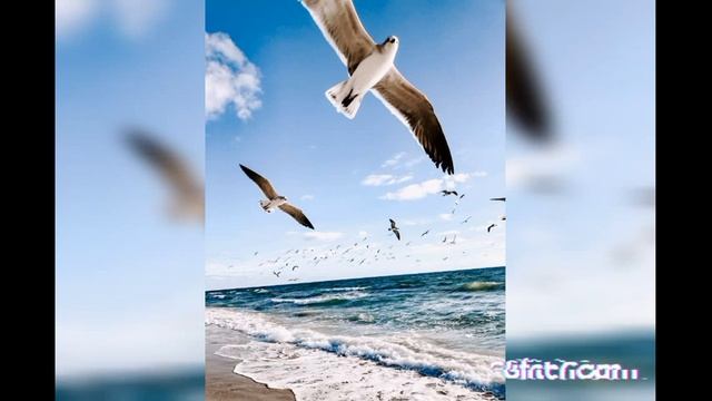 прекрасная расслабляющая музыка для медитации и сна. смотреть онлайн