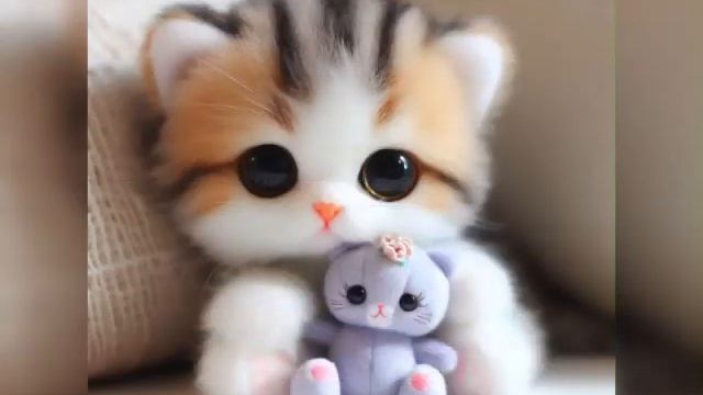 Котики - Я тебе поставлю лайк смотреть онлайн