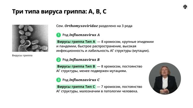 2.3 Вирус гриппа. Общая характеристика семейства смотреть онлайн