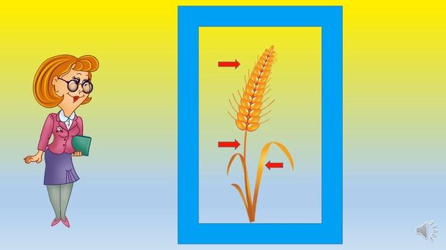 ХУДОЖНЬО-ПРОДУКТИВНА ДІЯЛЬНІСТЬ(малювання) «КОЛОСЕ ПШЕНИЧНИЙ»Середній дошкільний ві смотреть онлайн