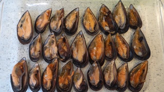 Цирковые Представления и Шоу