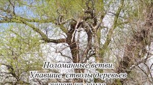 Рождественский парк в Краснодаре.