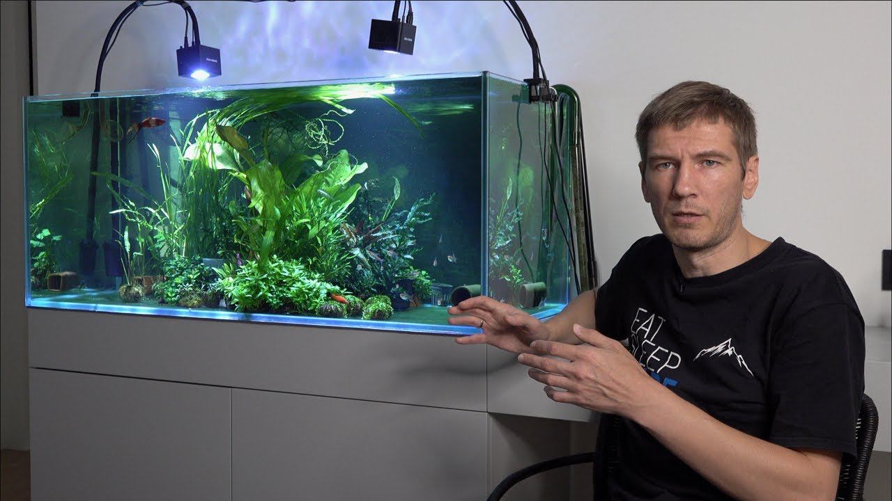 Травник без грунта. Обзор смотреть онлайн