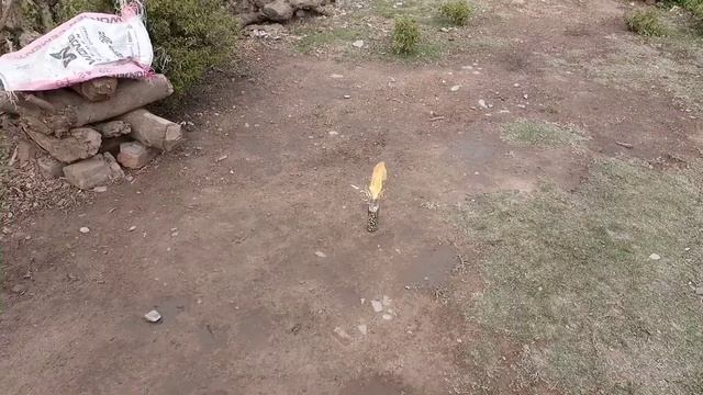 INSANE GIANT MATCH BOTTLE FIRE | Experiment 2700 Matchsticks Vs SprayBottle | New Amazing Experimen смотреть онлайн