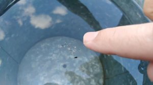 Прикол с водой. Делаем водоворот.