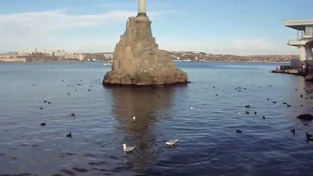 Приморский бульвар. Севастополь. Чайка - хохотунья. смотреть онлайн