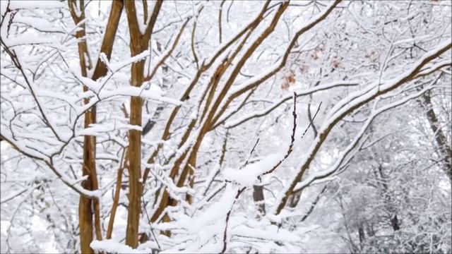 Nezih Üçler - Sana Git Diyemem [Akustik Versiyon] смотреть онлайн